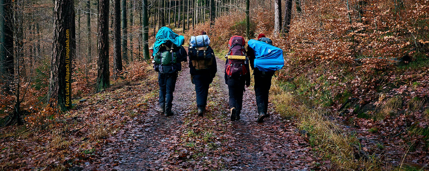 junge Menschen wandern durch einen herbstlichen Wald