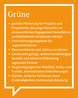 Auf dem Bild ist in Stichpunkten die Antwort der Grünen zu sehen