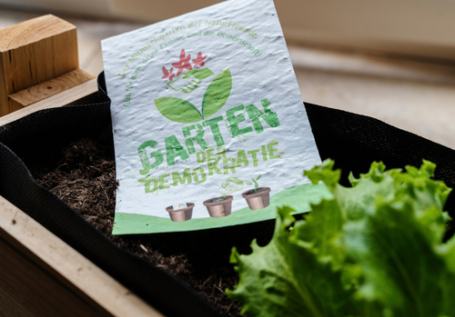 Blumenkasten mit Salat in dem ein Schild mit Garten der Demokratie ist.